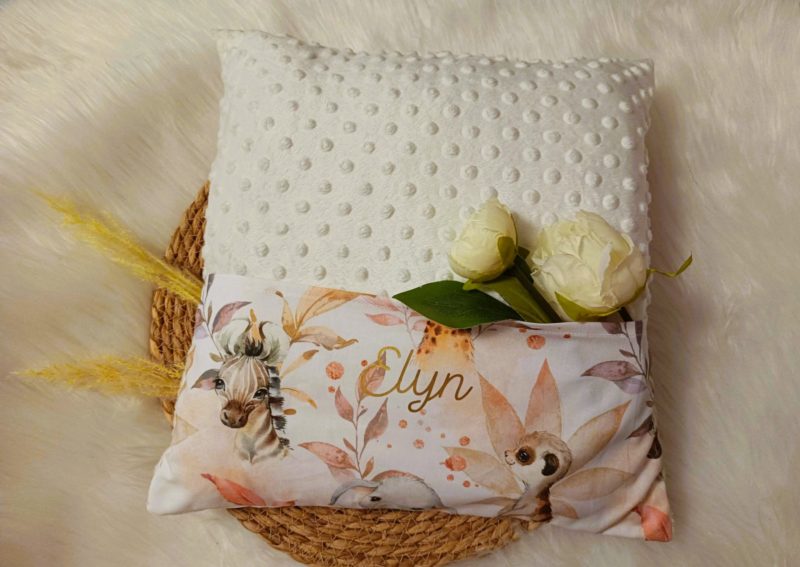 Coussin range doudous (minky)